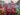 Brussels Faces Pressure to Scale Back Green Agenda Amid U.S. Deregulation