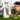 Plant Carbon Sequestration
